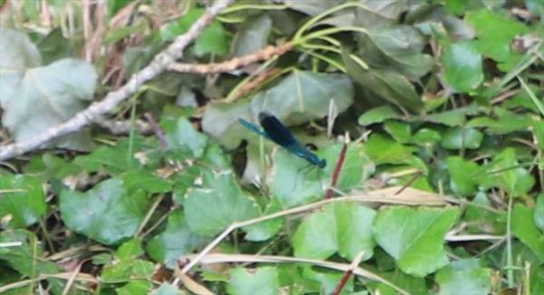  Photo: p22.jpg