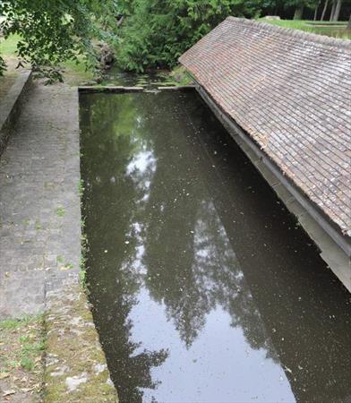  Photo: p25.jpg