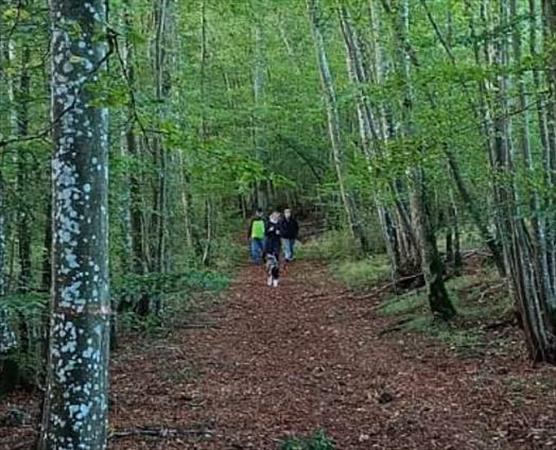  Photo: p9.jpg