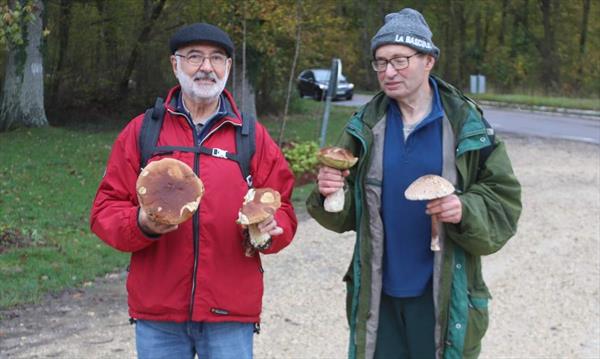  Photo: p11.jpg