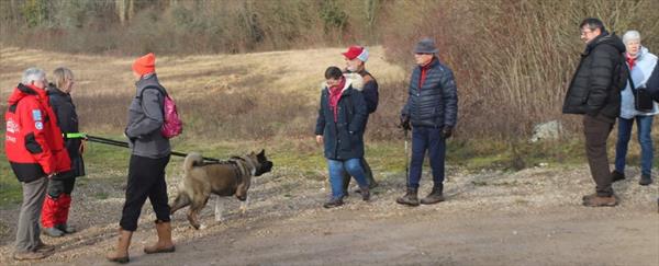  Photo: p11.jpg