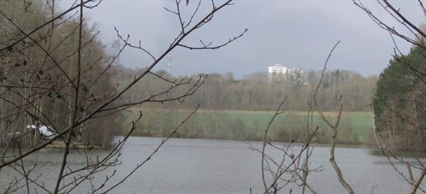  Photo: p6.jpg