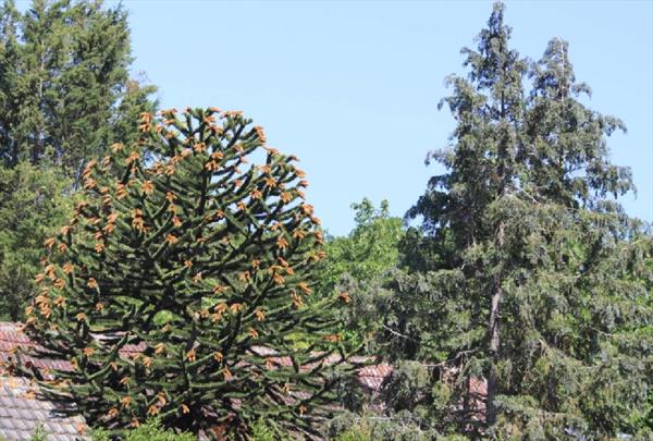  Photo: p4.jpg