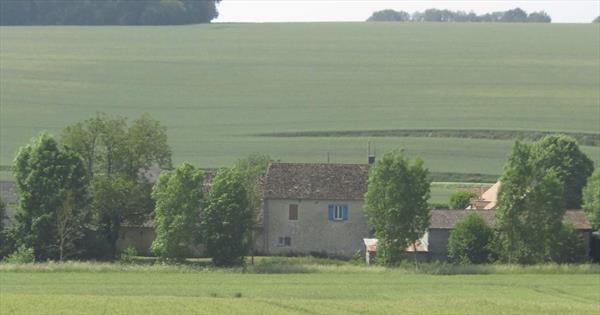  Photo: p5.jpg