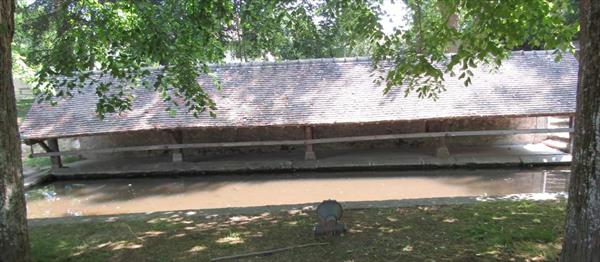 Photo: p21.jpg