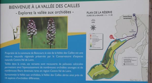  Photo: p1.jpg