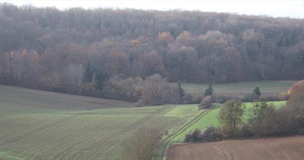  Photo: p2.jpg