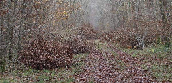  Photo: p5.jpg