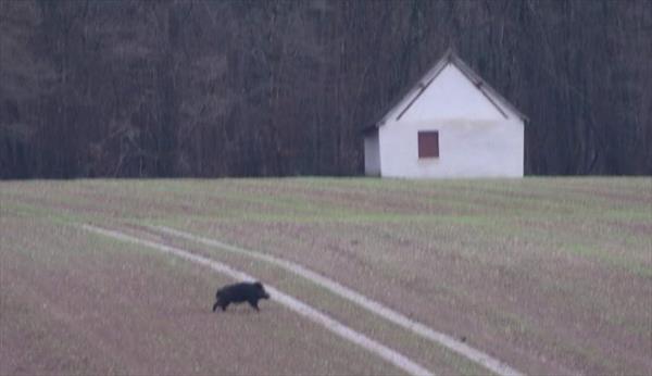  Photo: p14.jpg