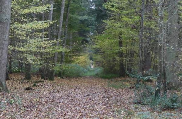  Photo: p3.jpg