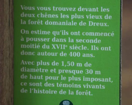  Photo: p14.jpg