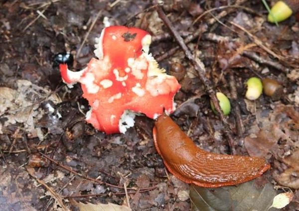  Photo: p1.jpg