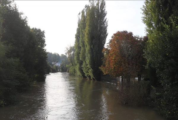  Photo: p10.jpg