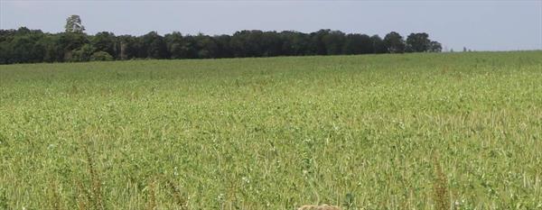  Photo: p3.jpg