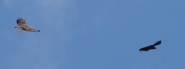  Photo: p14.jpg