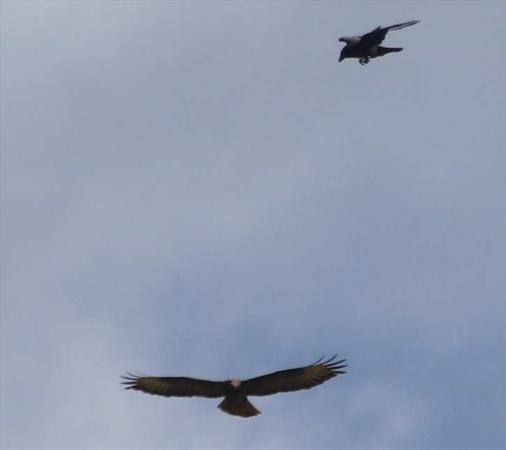  Photo: p15.jpg