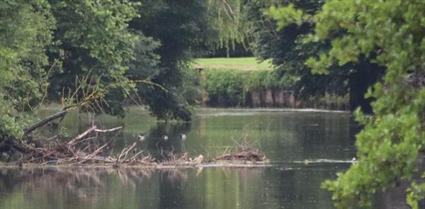  Photo: p4.jpg