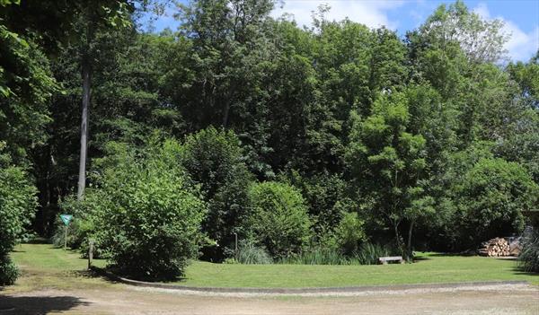  Photo: p13.jpg
