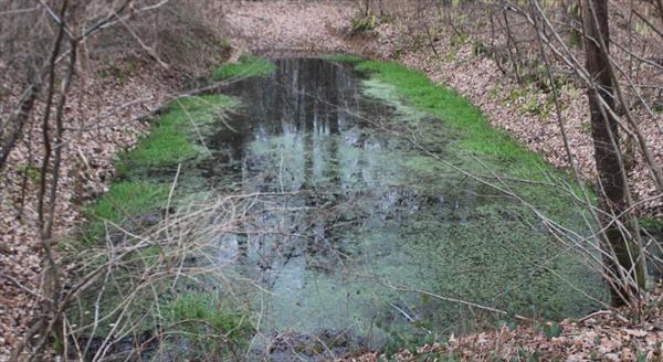  Photo: p8.jpg