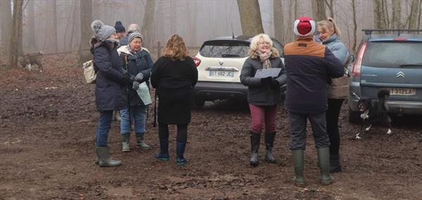  Photo: p4.jpg