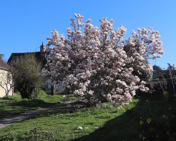  Photo: p2.jpg