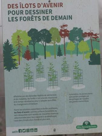  Photo: p3.jpg