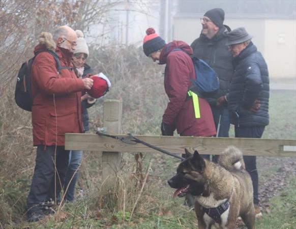  Photo: p6.jpg