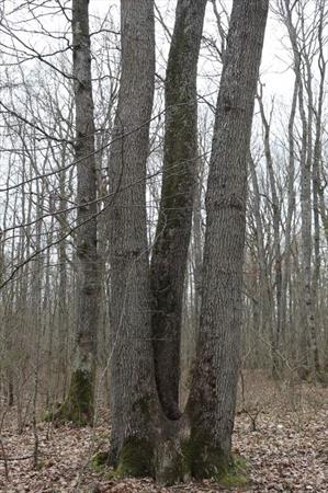  Photo: P10.jpg
