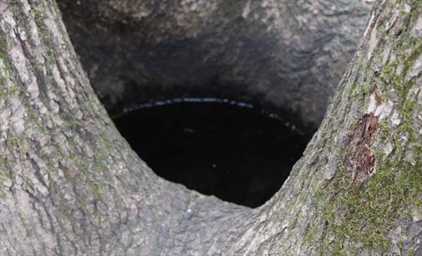  Photo: P11.jpg