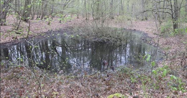 Photo: P35.jpg