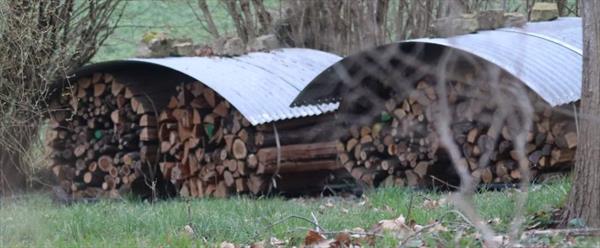  Photo: p11.jpg
