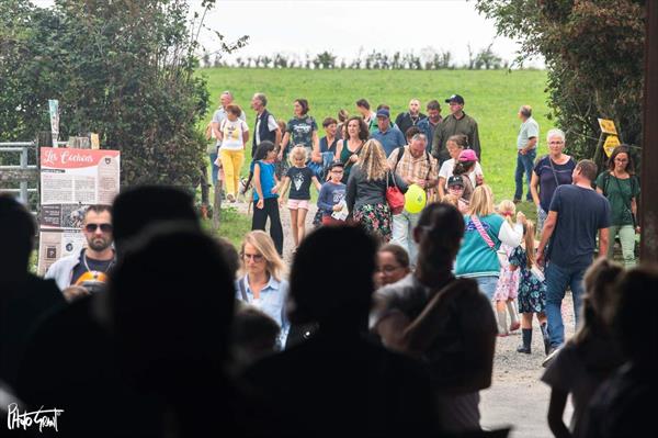  Photo: 6e Cara-Meuh festival - © Neil Grant (130).jpg