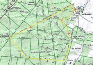 Marche du 25 Janvier 2026