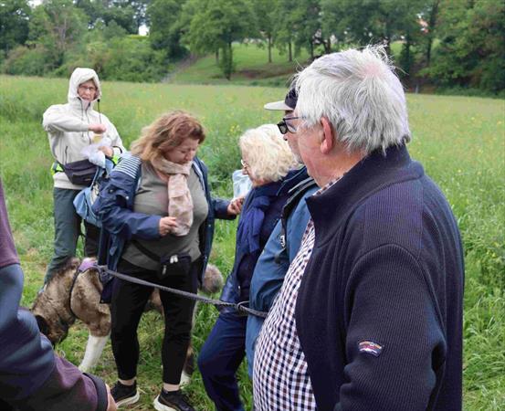  Photo: IMG_6096.JPG