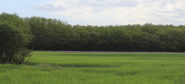  Photo: p4.jpg