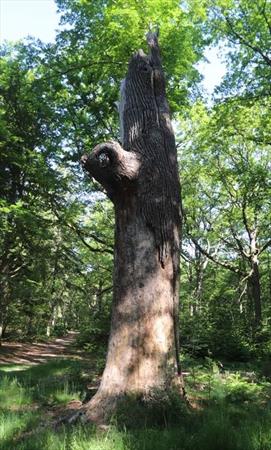  Photo: p5.jpg