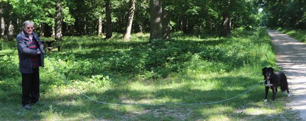  Photo: p6.jpg