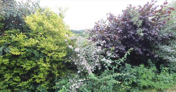  Photo: p15.jpg
