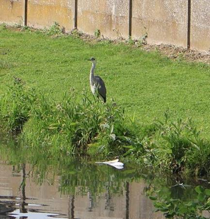  Photo: p2.jpg