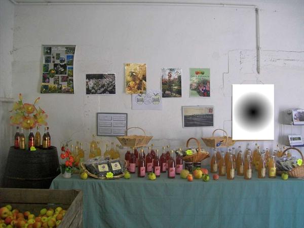 Jus de pommes , pétillants de pommes et miel Photo: hervouet-garat_le-magasin_jus-de-pommes_ph43.jpg