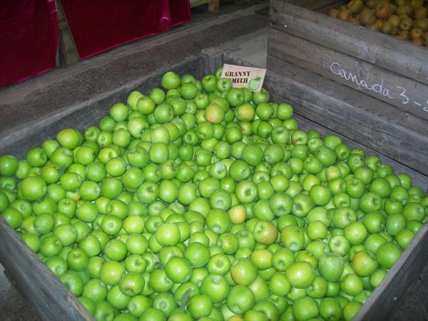  Photo: hervouet-garat_les-pommes-en-magasin_granny-smith_