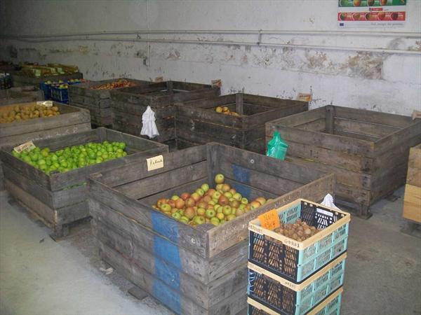  Photo: hervouet-garat_les-pommes-en-magasin_ph46.jpg