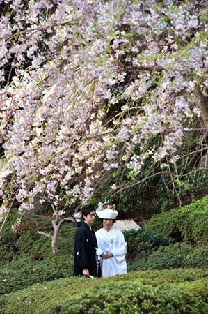 Photo: 4665501_japon-cerisier-mariee.jpg