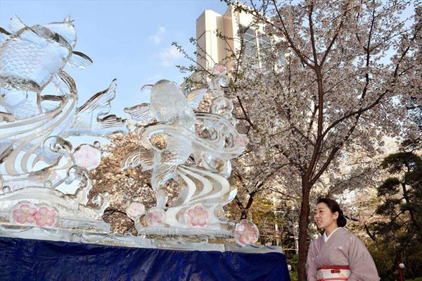  Photo: 4665501_japon-cerisier-sculpture.jpg