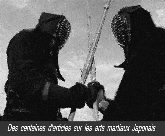 


Des articles sur les arts martiaux en général et l'Aïkido en particulier, mais aussi sur le Japon et sa culture......