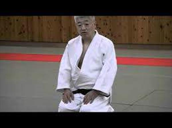 L aikido Yoshinkan
L'Ecole Yoshinkan

Il existe plusieurs styles ou "Ecoles" d'Aïkido indépendants les uns des autres...