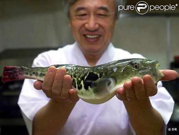 Le genre Takifugu est un genre comprenant des poissons appelés fugu (河豚／鰒／鮐／魨／鯸／鯺?), connus pour provoquer de très grave...
