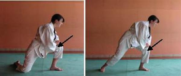 
Comment pratiquer l’aikido sans mettre ses genoux en danger ?
 
Maître Tamura rappelle que « l’Aïkido est un Budo qu...