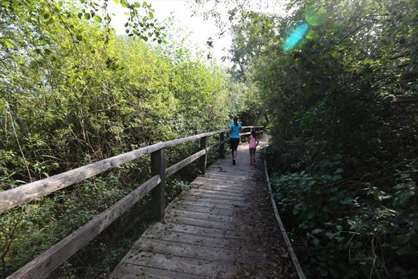  Photo: Marais (2).JPG