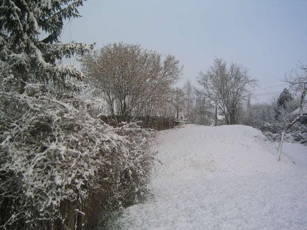  Photo: IMG_3593.JPG